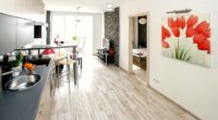 renovation appartement nice